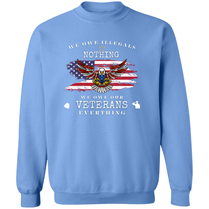 We Owe Illegals Nothing ~ T-Shirt | Sweatshirt | Hoodie